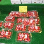 自家製さくらんぼ